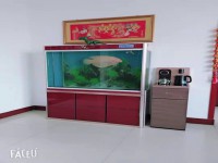 其它图