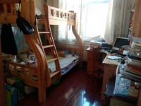 其它图