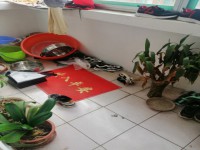 其它图