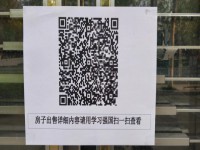 其它图
