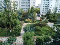 其它图