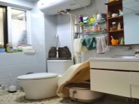 其它图