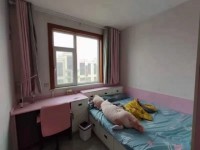 其它图