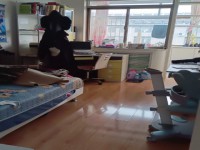 其它图