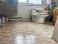 其它图