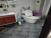 其它图