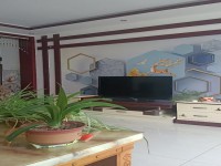其它图